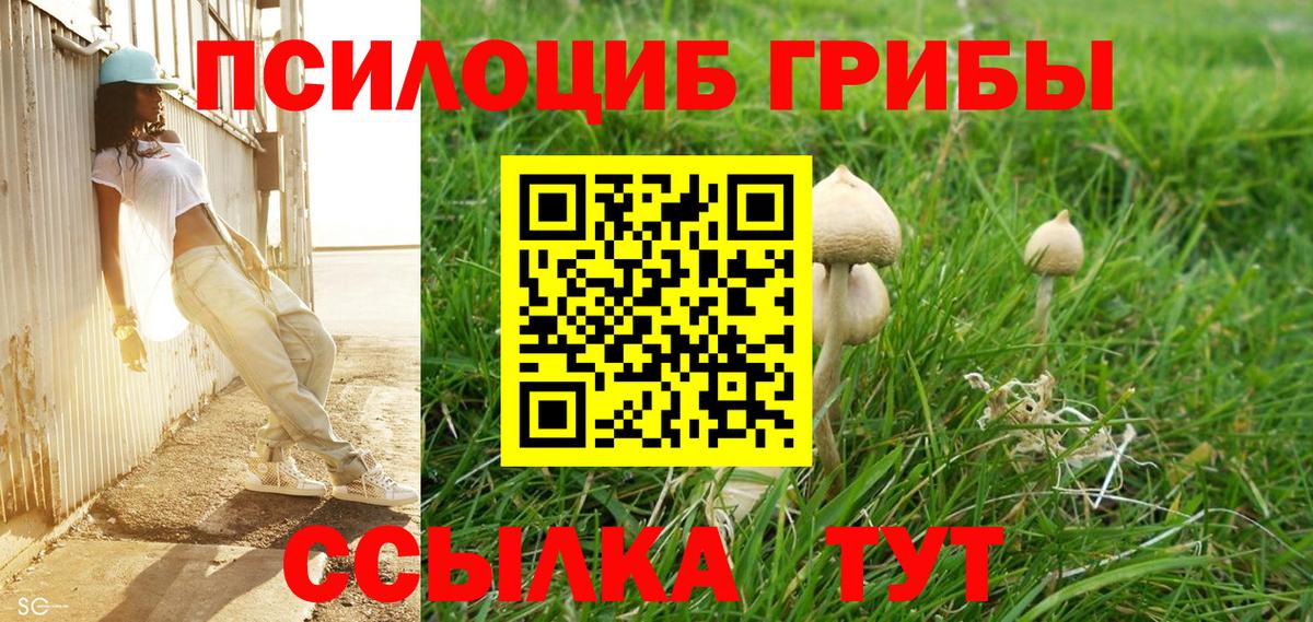 Псилоцибиновые грибы прущие грибы Зима